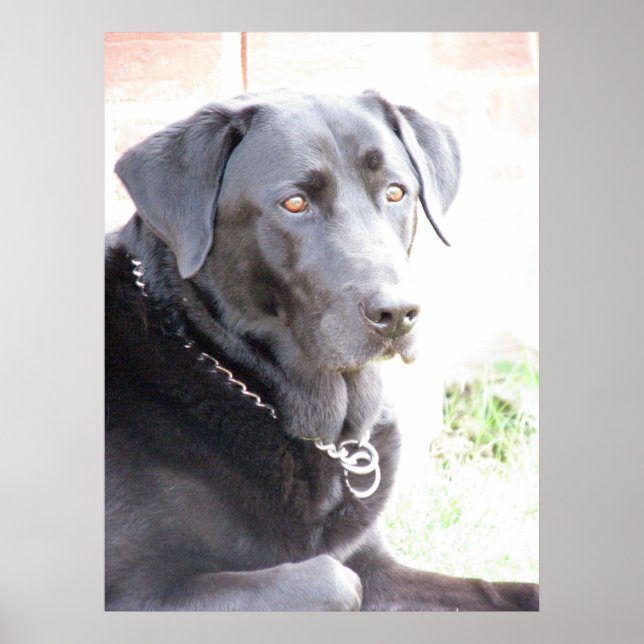 Pôster Carvão (Frente)