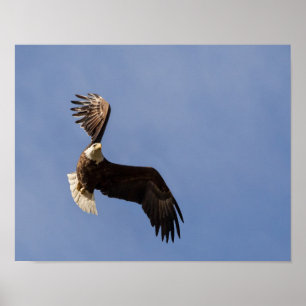 Pôster Carving The Sky