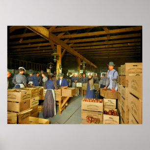 Poster Casa de Embalagem de Laranja Provavelmente Covina 