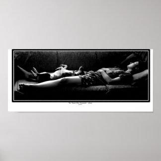 Pôster Casa - Melhor Amigo