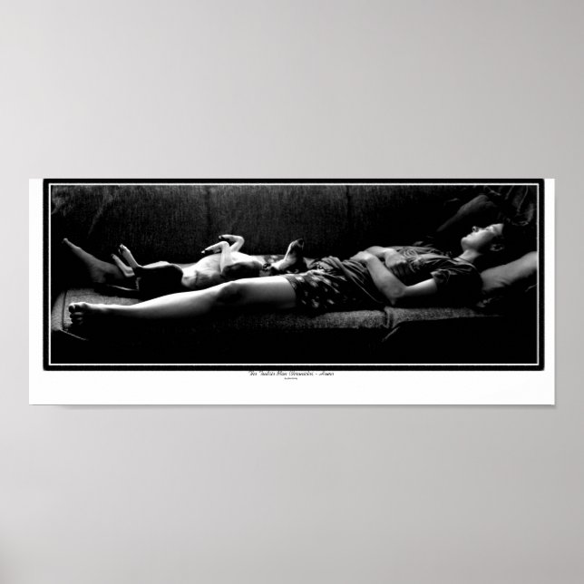 Pôster Casa - Melhor Amigo (Frente)