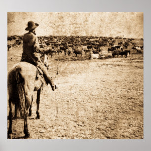 Pôster Casa na escala