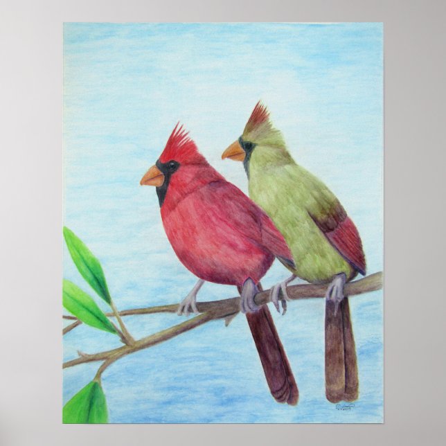 Poster Casal cardinal (Frente)