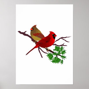 Pôster Casal cardinal em um ramo