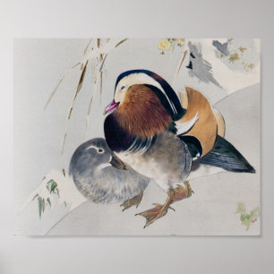 Poster Casal de Pato de Mandarim, Watanabe Seitei