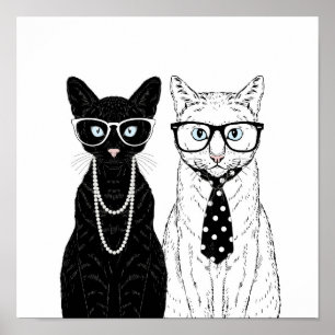 Poster Casal do gato