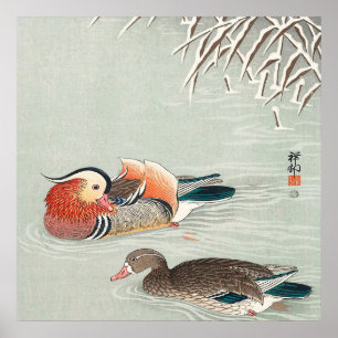 Poster Casal Mandarin Duck Design   Presente Ideal
