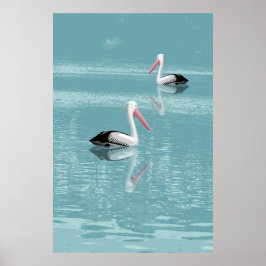 Poster Casal pelicano remando em água aquática calma