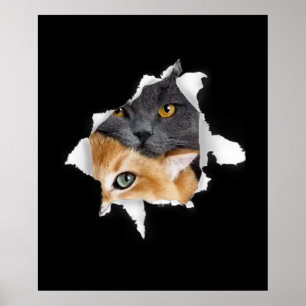 Poster Casal Sweet Kitten Presente De Gato De Gato Engr