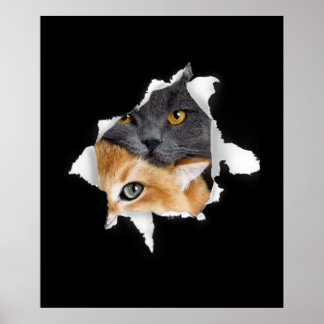 Poster Casal Sweet Kitten | Presente De Gato De Gato Engr