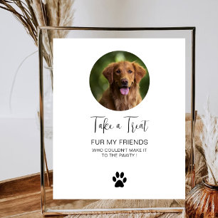 Poster Casamento de Cães Favorece o Tratamento de Animais