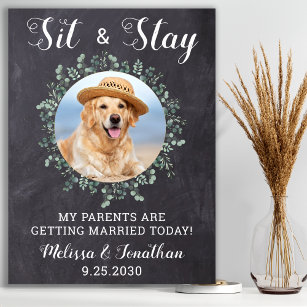 Poster Casamento de Pet Personalizado de Foto de Cão de B