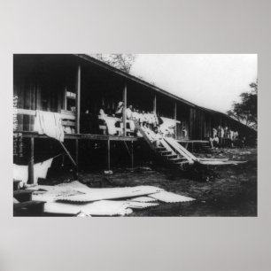 Poster Casas japonesas na fotografia de Havaí