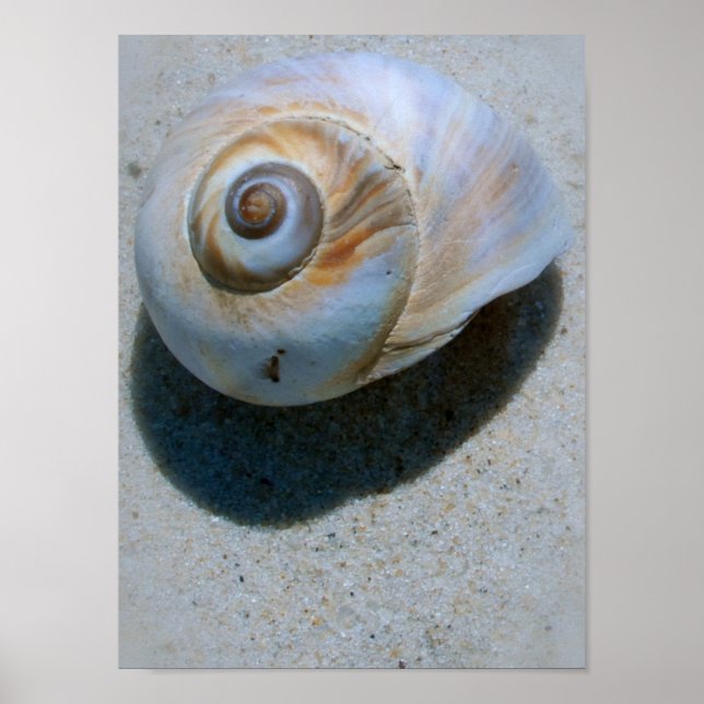 Poster casca (Frente)