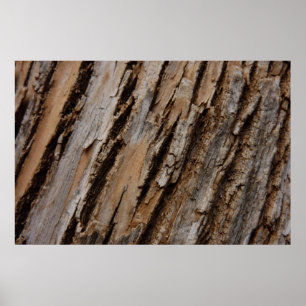 Pôster Casca de Árvore I Design Texturizado Abstrato Natu