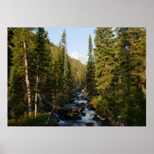Poster Cascade Creek no Grand Teton