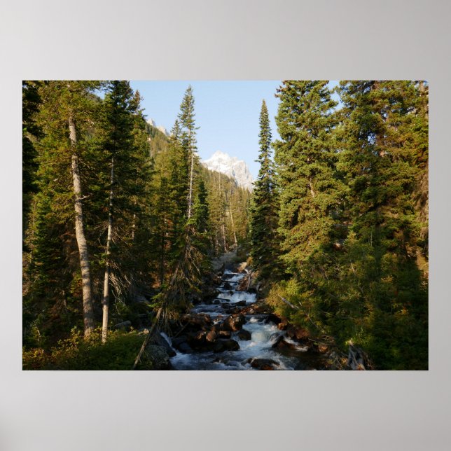 Poster Cascade Creek no Grand Teton (Frente)