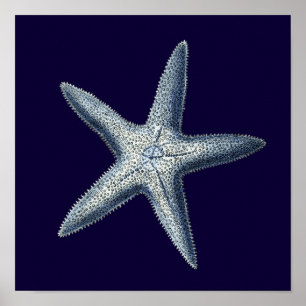 Pôster Cascas de Indigo IV