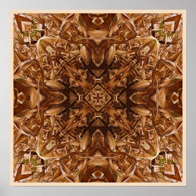 Poster Cascas de milho seco Abstrato 16 (Frente)