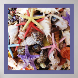 Pôster Cascas-do-mar