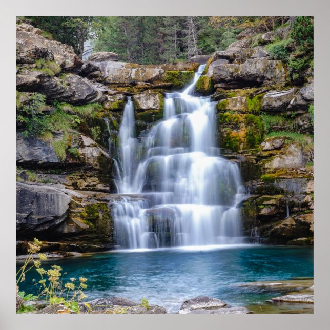 Poster Cascata (Frente)