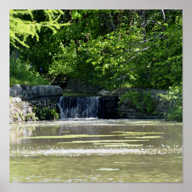 Pôster cascata (Frente)