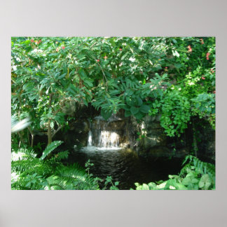 Pôster cascata