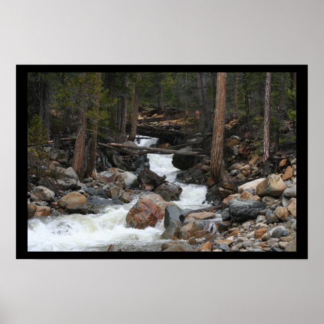 Pôster Cascata (Frente)