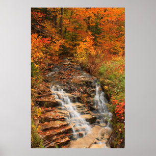 Poster Cascata da autoestrada de Kancamagus no outono