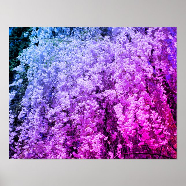 Poster Cascata De Flores De Primavera Tintos (Frente)