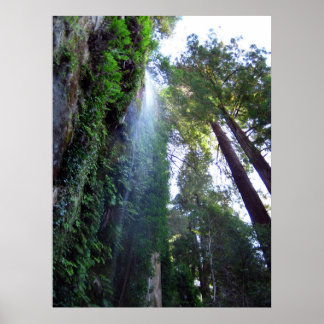 Pôster Cascata e Cliff