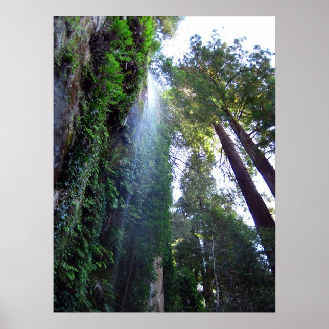 Pôster Cascata e Cliff (Frente)