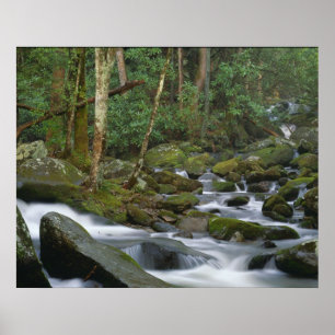 Pôster Cascata em Cosby