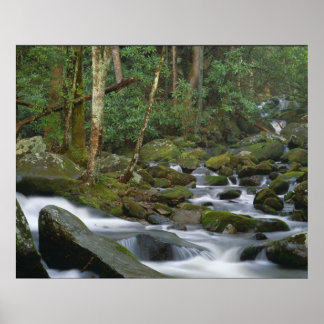 Pôster Cascata em Cosby