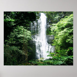 Poster Cascata Havaiana