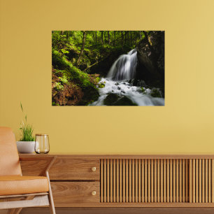 Poster Cascata mágica em floresta verde encantadora