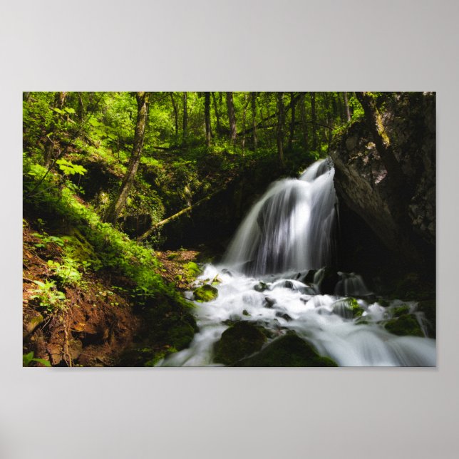 Poster Cascata mágica em floresta verde encantadora (Frente)