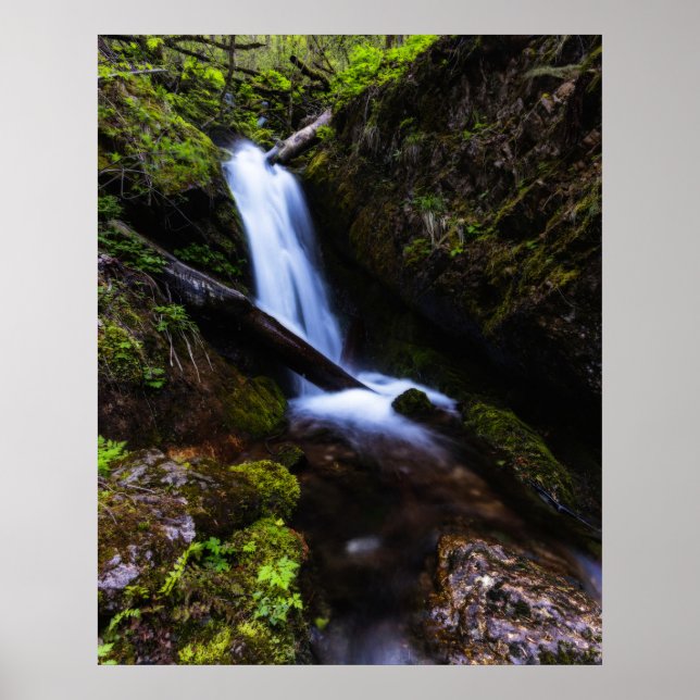Poster Cascata na floresta encantada (Frente)