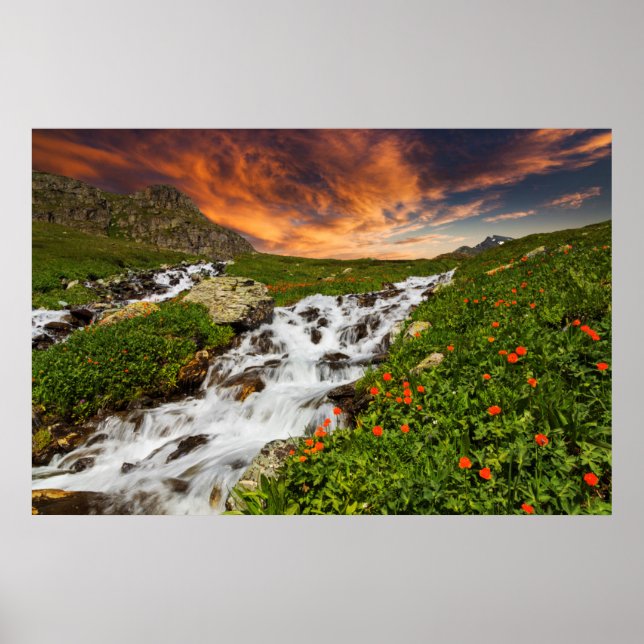 Poster Cascata nas montanhas com flores (Frente)