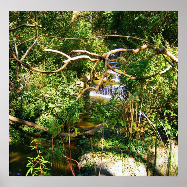 Pôster Cascata oculta (Frente)