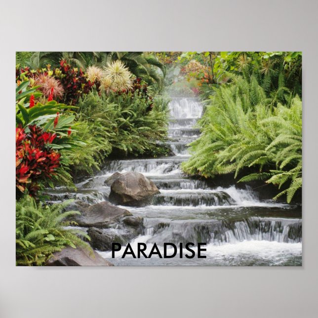 Poster Cascata, PARADISE (Frente)