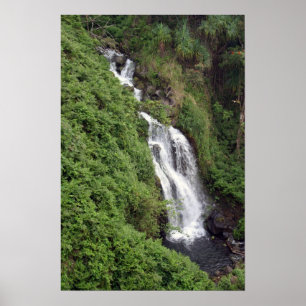 Poster Cascata perto de Hilo, Havaí