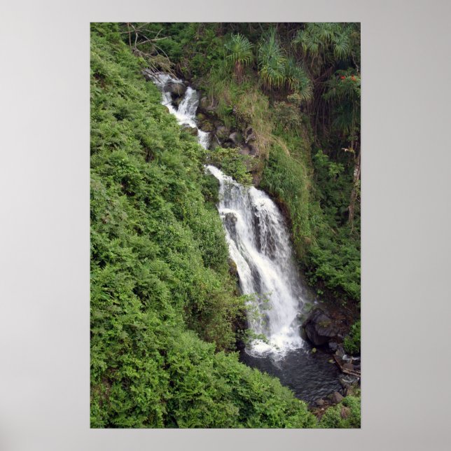 Poster Cascata perto de Hilo, Havaí (Frente)