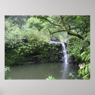 Poster Cascata tropical da floresta tropical