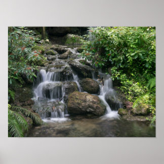 Poster Cascata verde