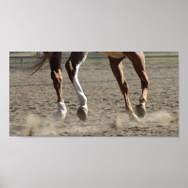 Pôster Cascos em Movimento (Frente)