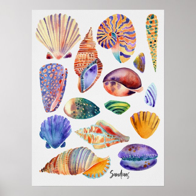 Poster Casquilhos de Aquarela (Frente)