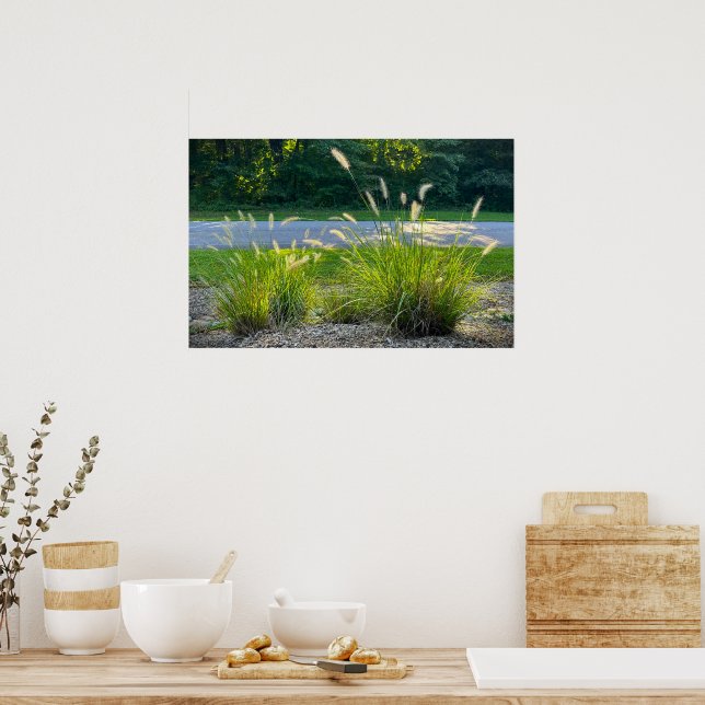 Poster Cassian Fountain Grass, (Cozinha)
