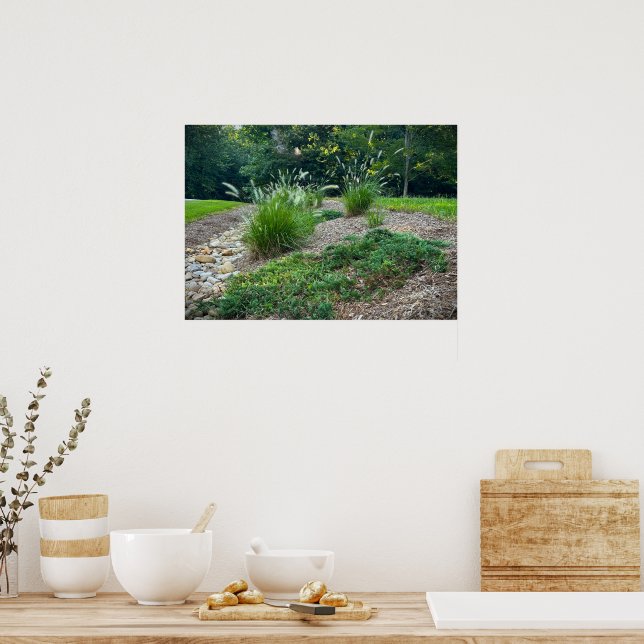 Poster Cassian Fountain Grass & Juniper, (Cozinha)