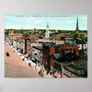 Pôster Castanho-aloirado, New York, opinião de olho de